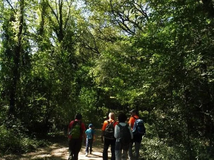 Camping Bungalow El Llac De Banyoles Porqueres